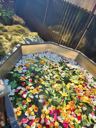 Банный ритуал с заботой о Вас: полный релакс в домашней бане на дровах.